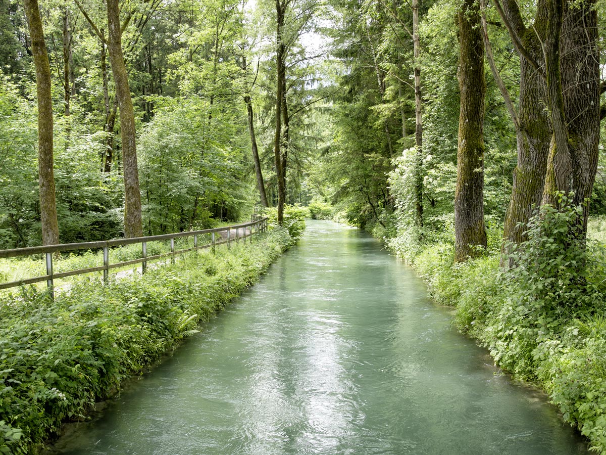 Kanalfluss in einem Wald